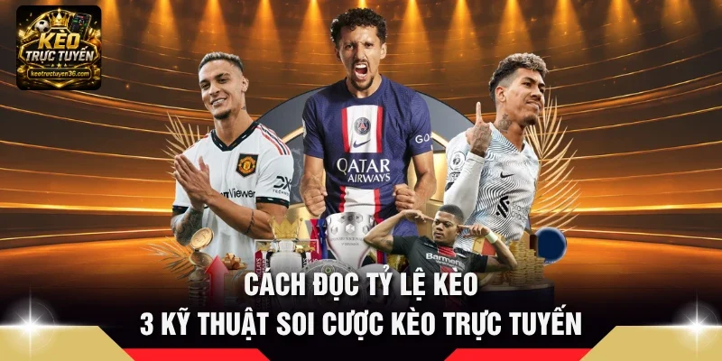 Cách đọc tỷ lệ kèo