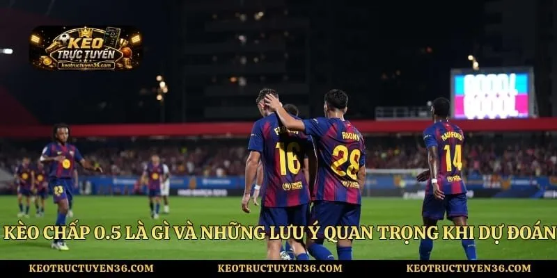 Kèo Chấp 0.5 Là Gì Và Những Lưu Ý Quan Trọng Khi Dự Đoán 8 Kèo Chấp 0.5 Là Gì Và Những Lưu Ý Quan Trọng Khi Dự Đoán