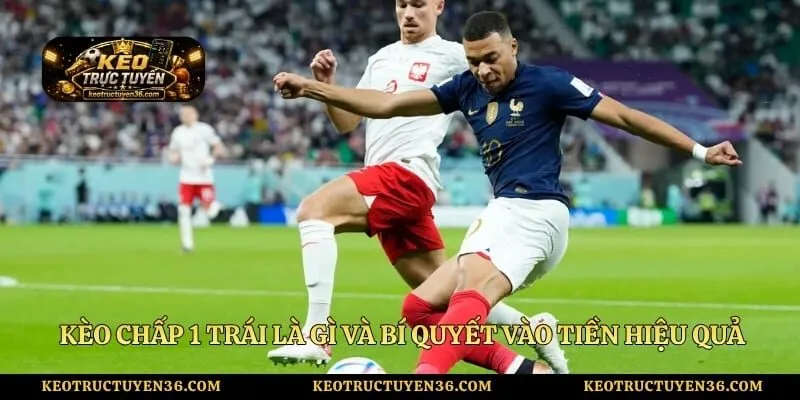 Kèo Chấp 1 Trái Là Gì Và Bí Quyết Vào Tiền Hiệu Quả
