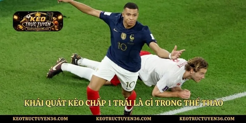 Kèo Chấp 1 Trái Là Gì Và Bí Quyết Vào Tiền Hiệu Quả 2 Khái quát kèo chấp 1 trái là gì trong thể thao