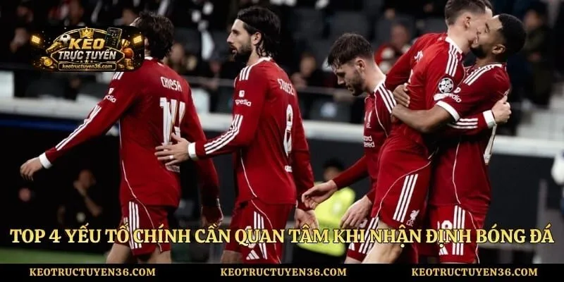Top 4 yếu tố chính cần quan tâm khi nhận định bóng đá Đức